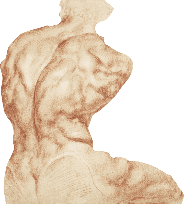 Man Muscle Sketch Original From The Met Museum Digitally Enhanced By Rawpixel Il