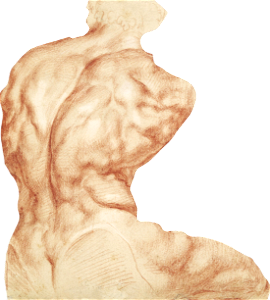 Man Muscle Sketch Original From The Met Museum Digitally Enhanced By Rawpixel Il