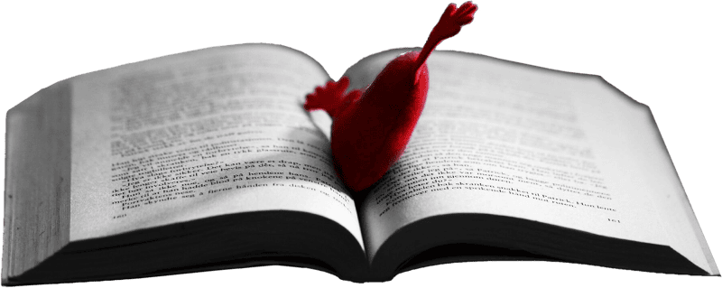 Book Love Red