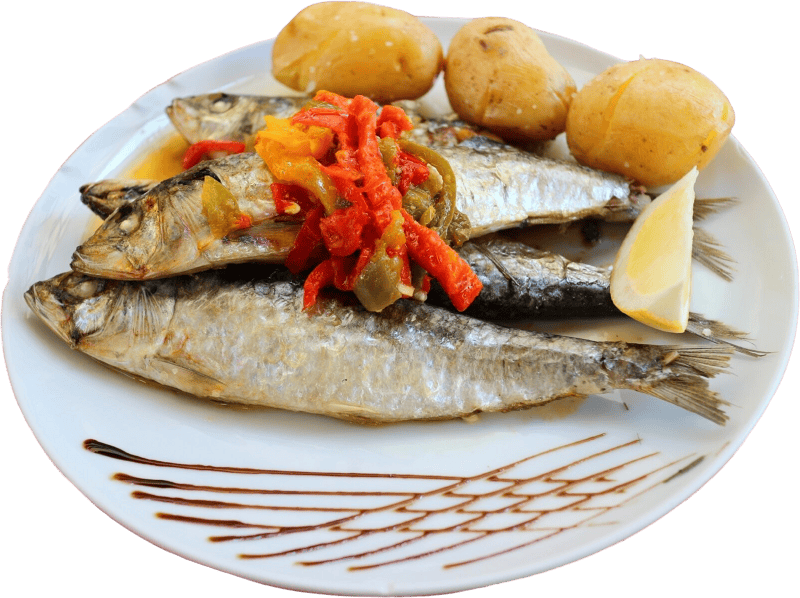 Portugal Sardines Marine Products