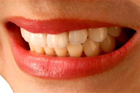 Mouth Teeth Lip