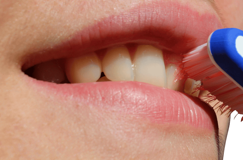 Mouth Oral Dental