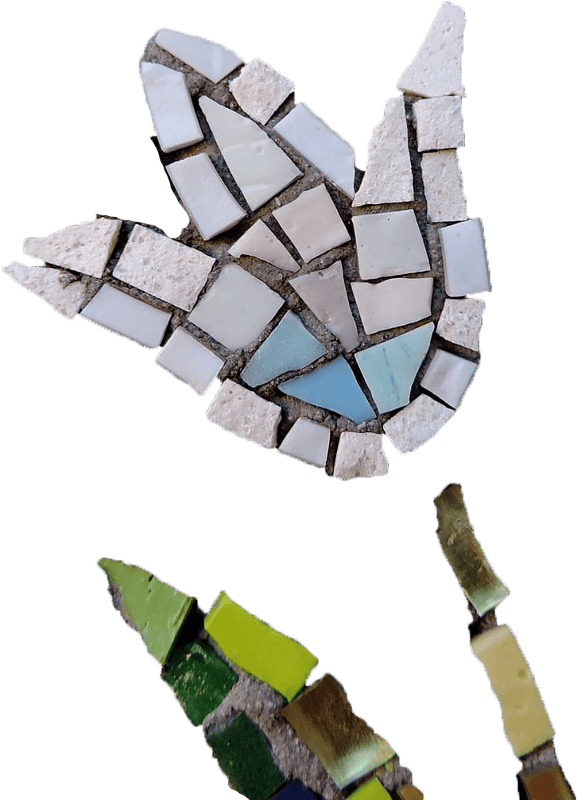 Wall Tile Surface