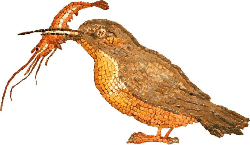 Mosaic Dels Peixos2