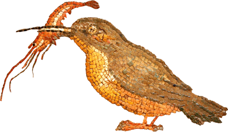 Mosaic Dels Peixos2
