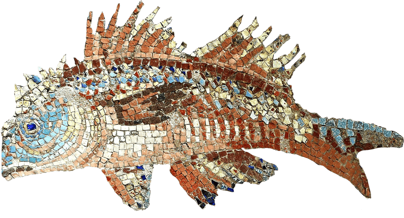 Fish Detail Nymphaeum With Mosaics 1St Century Ad From Massa Lubrense Pipiano So Xl