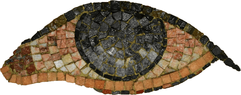 Eye Mosaic