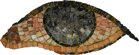 Eye Mosaic