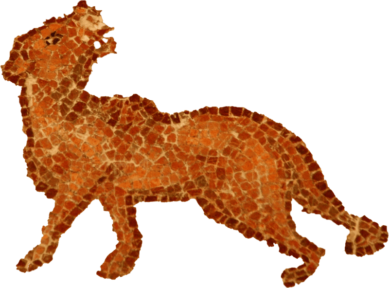Circus Mosaic6