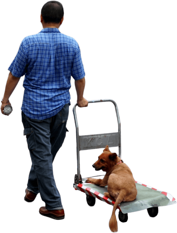 Man pulling cart with dog