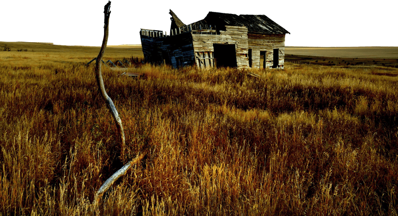 Outback Alberta 51322331212