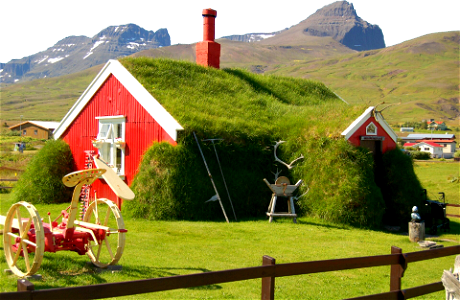 Grass Roof House