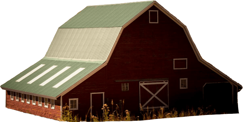 Cabin Barn Woods
