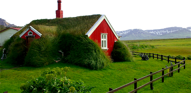 Bordafjordur Roofing Grass