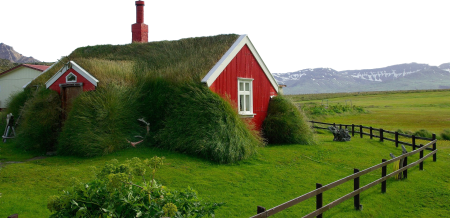 Bordafjordur Roofing Grass