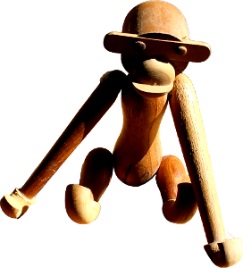 Shadow Toy Wooden