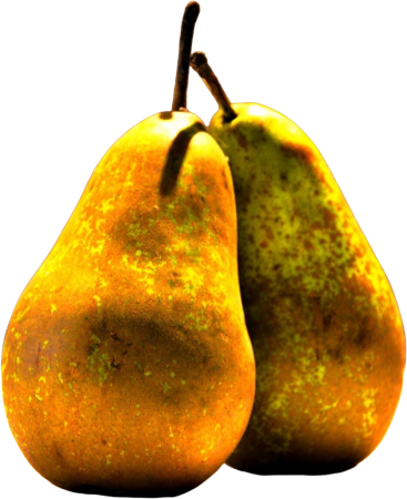 Pears