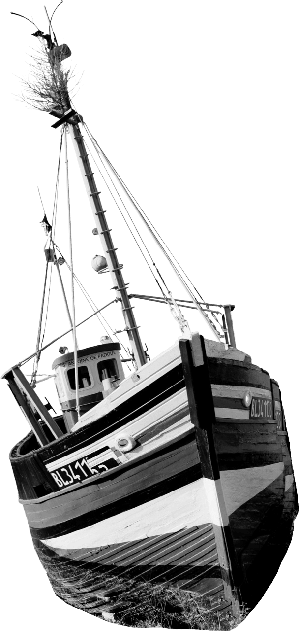 The Boats 182405223