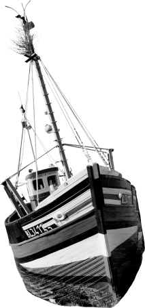 The Boats 182405223