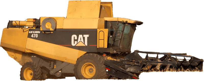 Rural Field Caterpillar