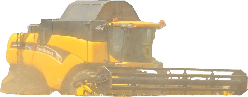 Cereals Arable Food