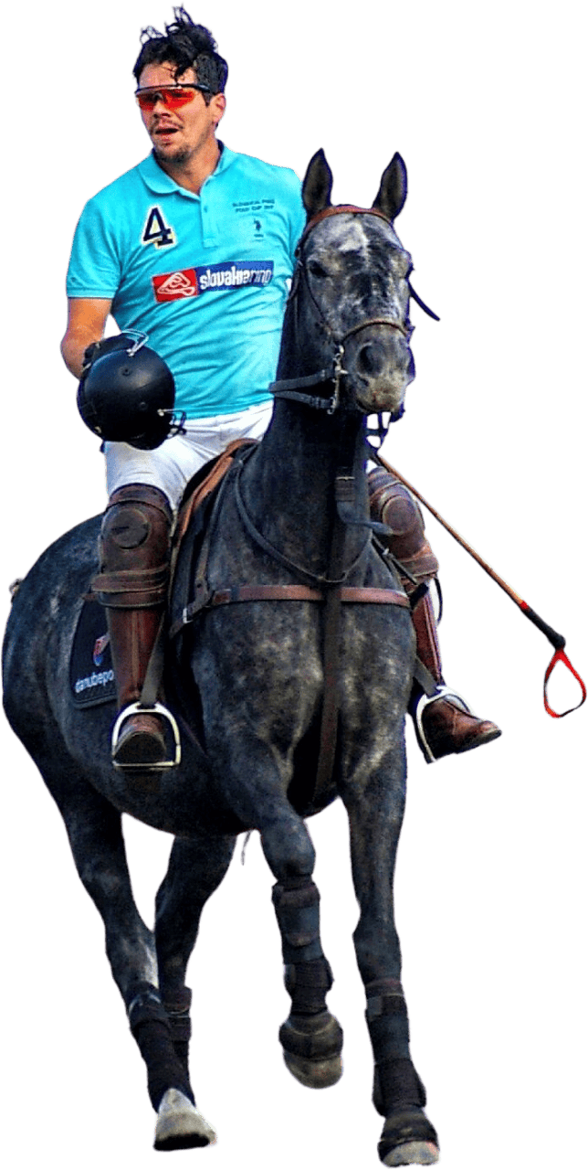 Sports competition animal horse
