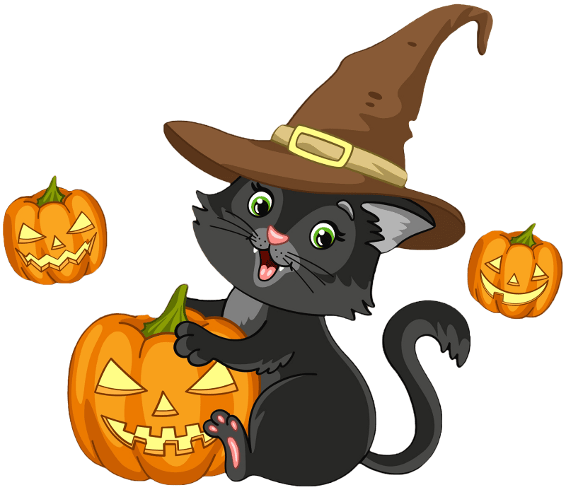 Halloween black cat