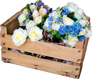 Flowers box bouquet