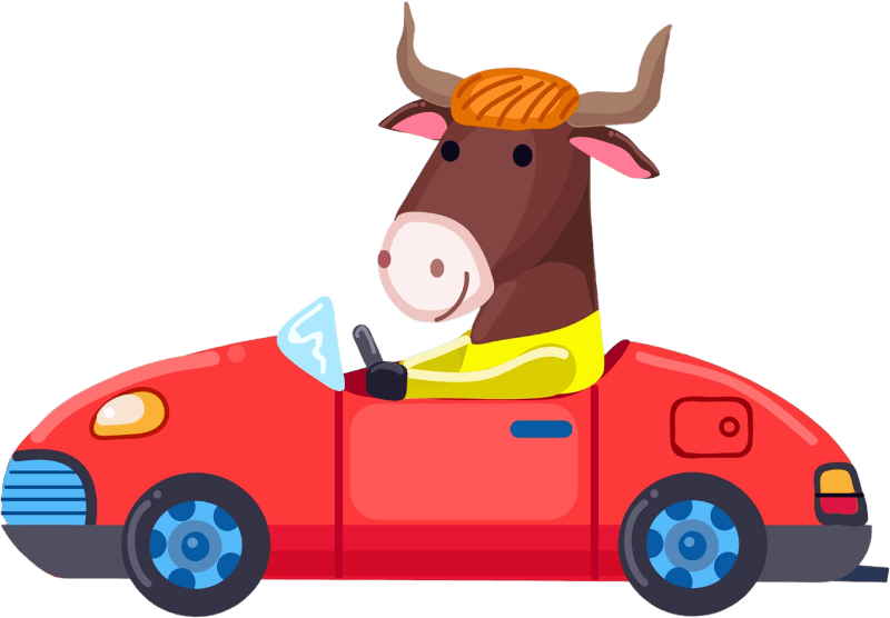 Bull with the car