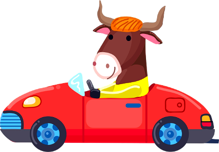 Bull with the car