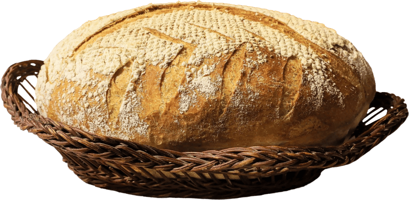 Beautiful photo bread breakfast