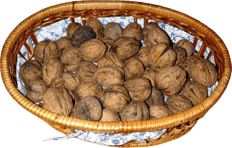 Basket food kitchen nuts walnuts Juglans regia