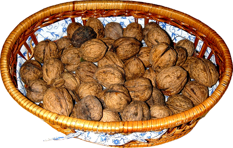 Basket food kitchen nuts walnuts Juglans regia