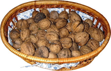 Basket food kitchen nuts walnuts Juglans regia
