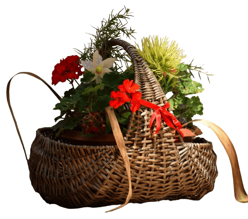 Basket flowers bouquet