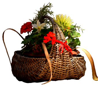 Basket flowers bouquet