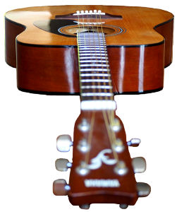 Acoustic acoustic guitar brown guitar