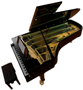 Classic instrument keyboard instrument