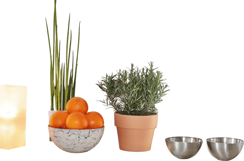 Oranges fruits rosemary