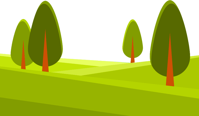 Nature forest