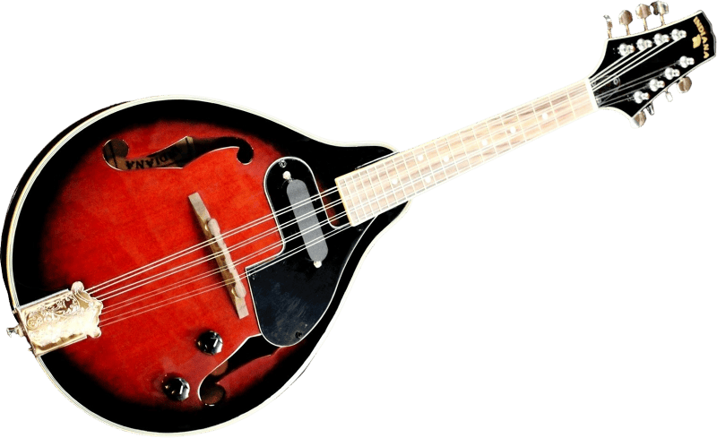 Musical instrument mandolin lute