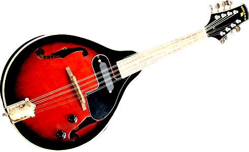 Musical instrument mandolin lute