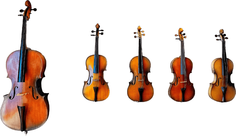 Musical fiddle classical