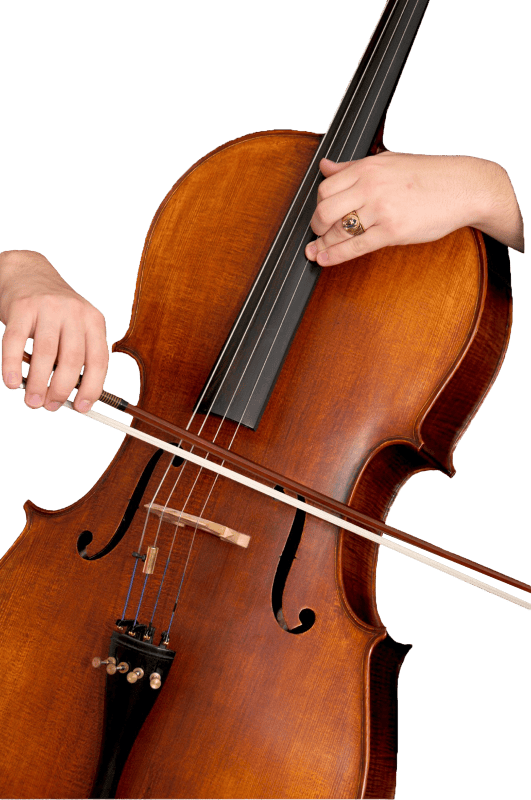 Musical concert orchestra