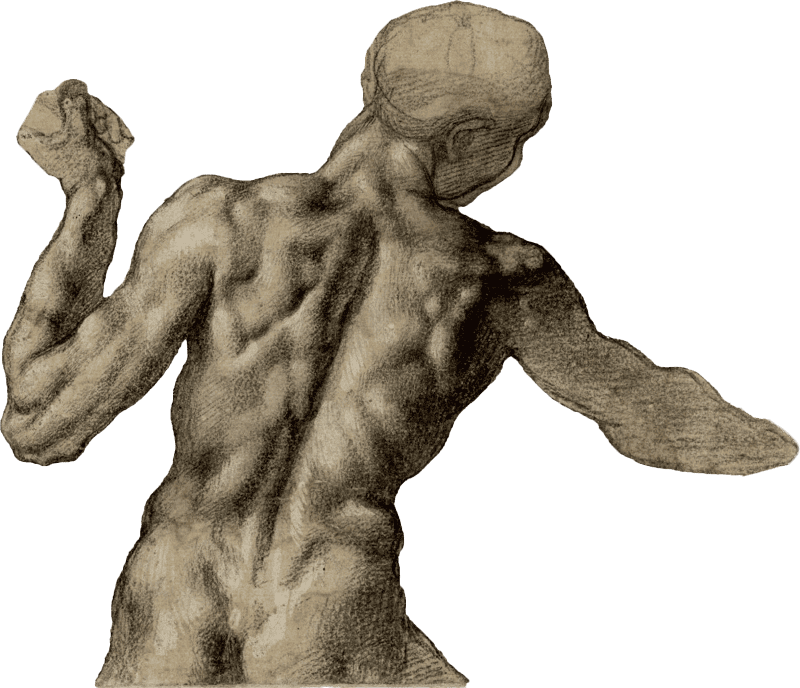 Male back with a flag michelangelo