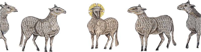 L agnello di dio che toglie i peccati del mondo