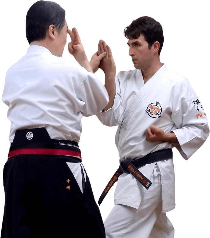 Yushinmon karate