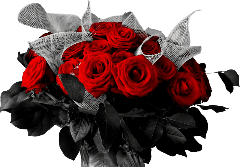 Rose foliage plant