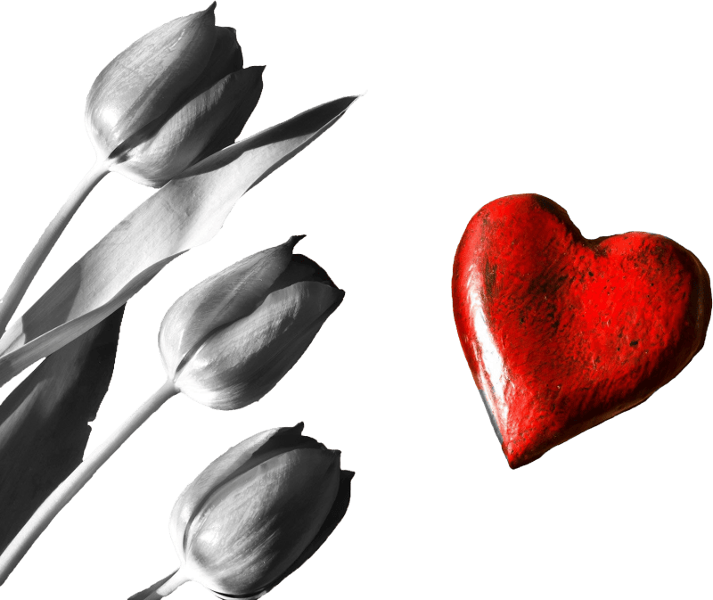 Red heart