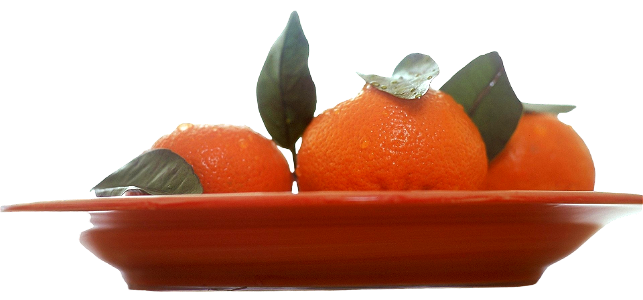 Image title tangerines fruit citrus reticulata image from public domain images w